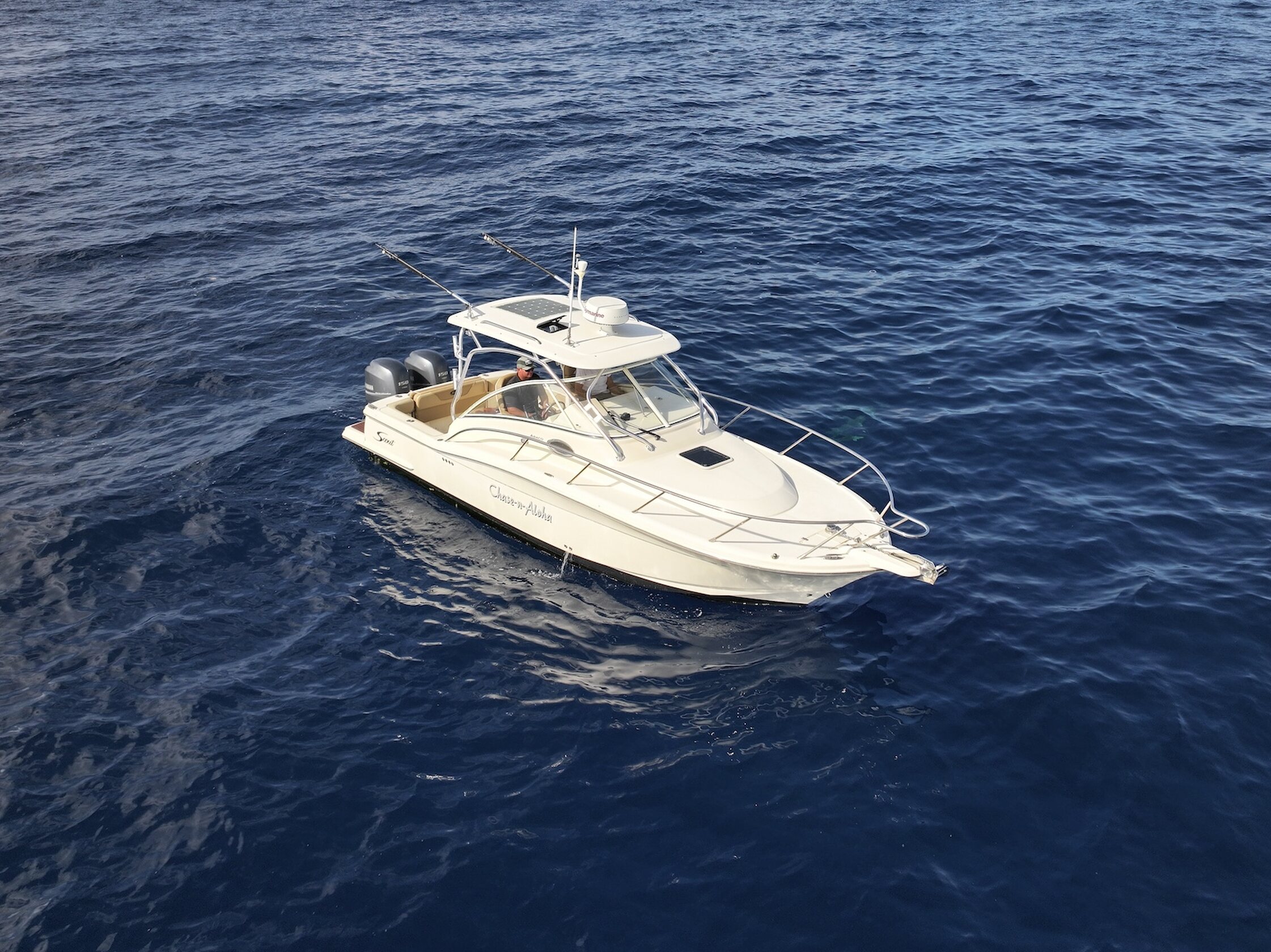 360 VR Virtual Tours of the Scout 262 Abaco